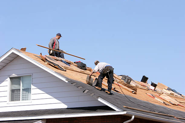 Best Roof Moss and Algae Removal  in , NY